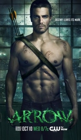 Arrow S05E22 720p HDTV x264 325MB Watch Online Download