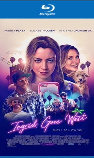 Ingrid Goes West (2017) PROPER 720p BRRip English 900MB Download